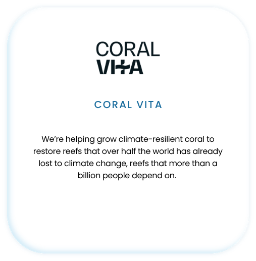 CORAL VITA