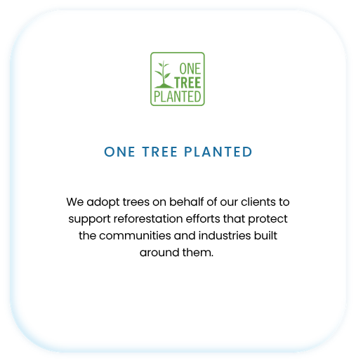ONE TREE PLANTED