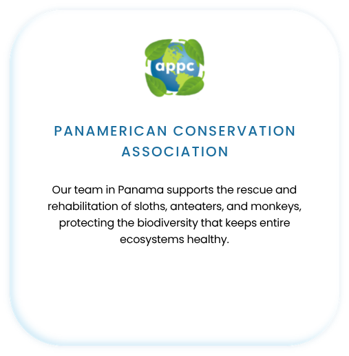 PANAMERICAN CONSERVATION ASSOCIATION